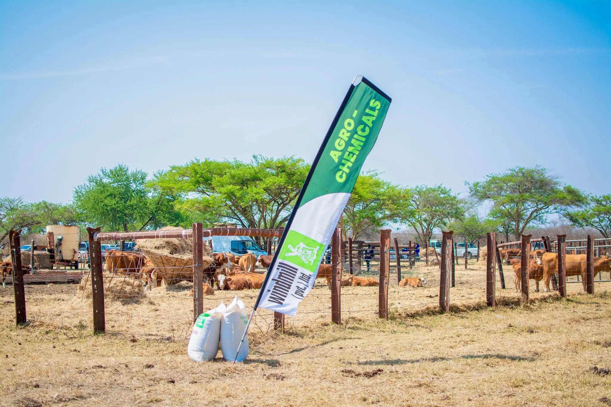 473588604_993867179429796_5818706709159773057_n